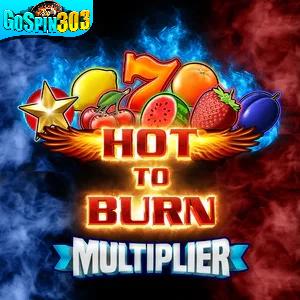 hot to burn multiplier
